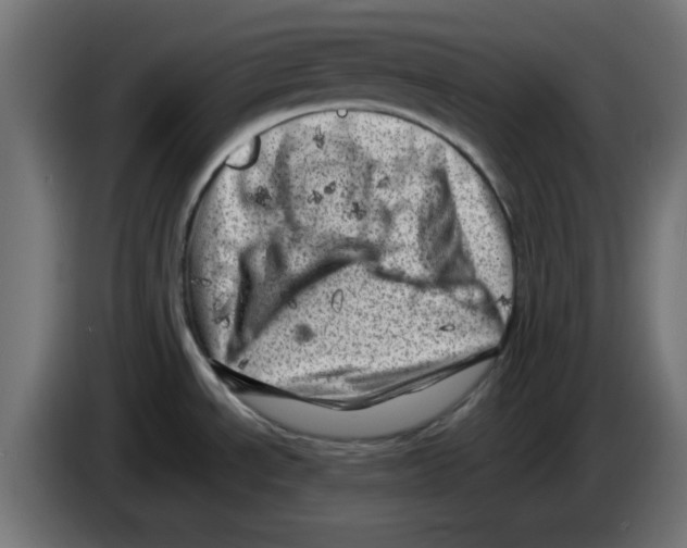 X0000083031534200703022015