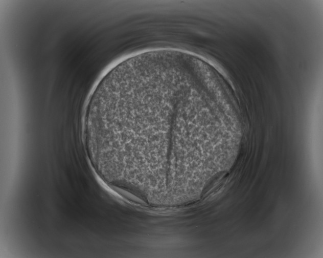 X0000083031535200703022015