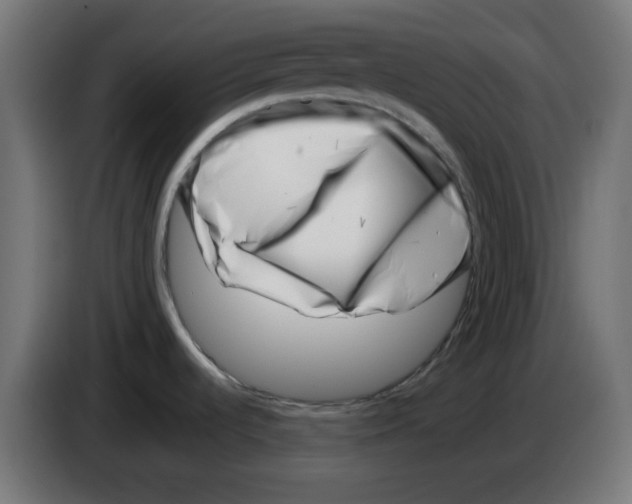 X0000083031536200703022015