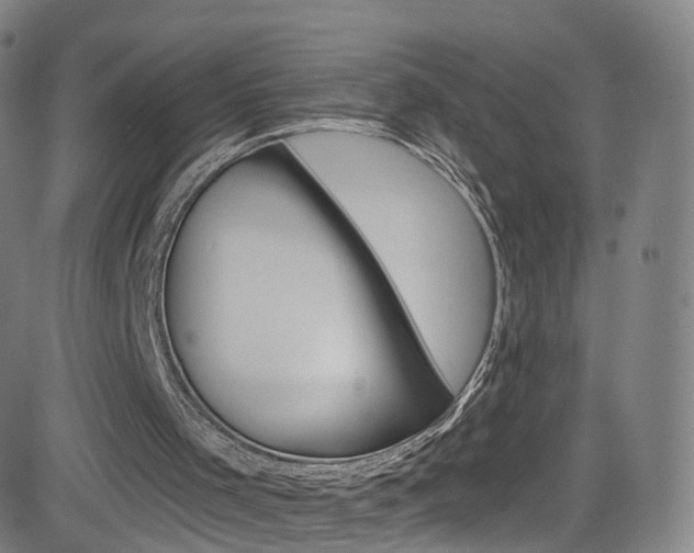 X0000083040001200702020954