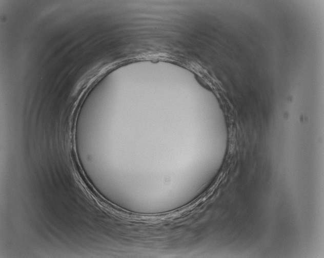 X0000083040002200702020954