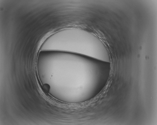 X0000083040003200702020954