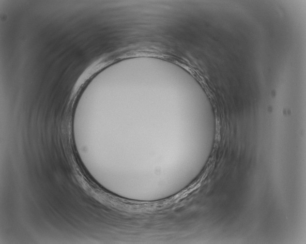 X0000083040004200702020954