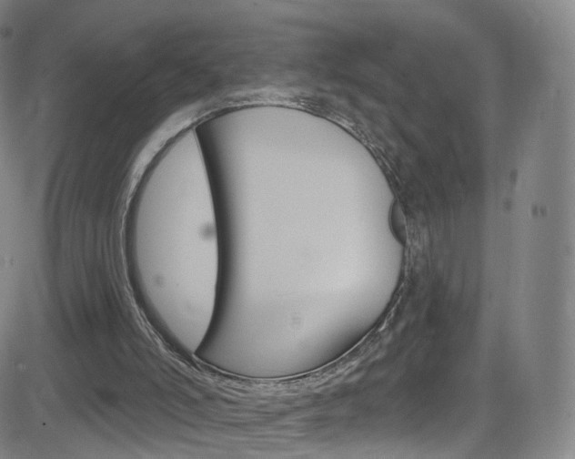 X0000083040006200702020954