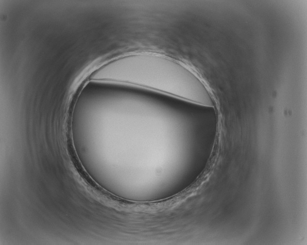 X0000083040007200702020954