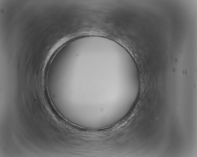 X0000083040008200702020954