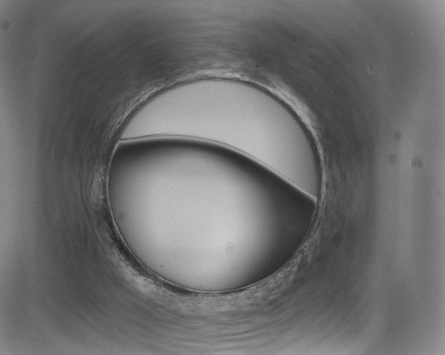 X0000083040009200702020954