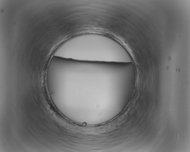 X0000083040010200702020954