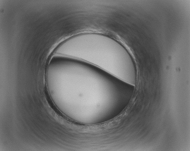 X0000083040011200702020954