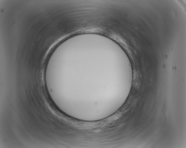 X0000083040012200702020954