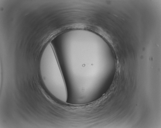 X0000083040013200702020954