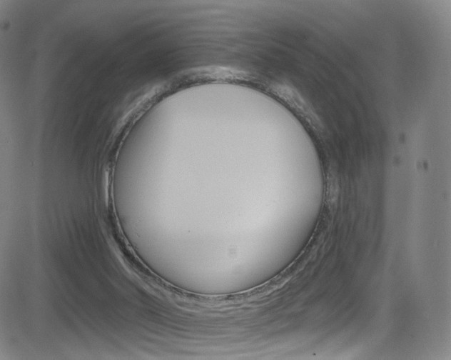 X0000083040014200702020954