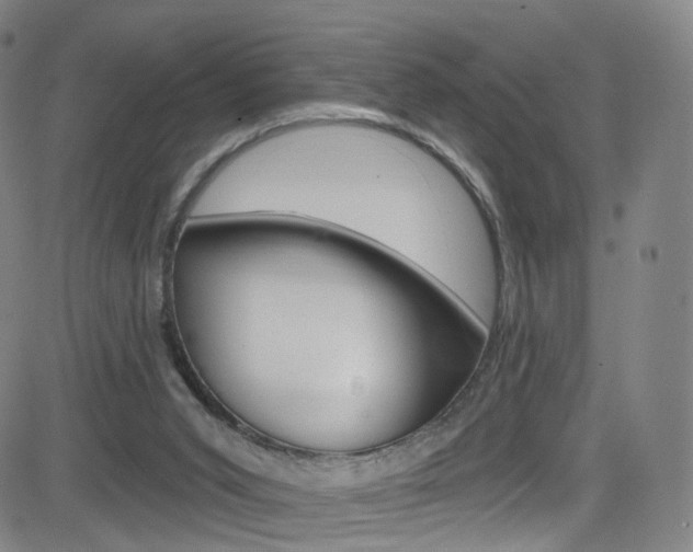 X0000083040015200702020954