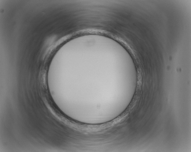 X0000083040016200702020954