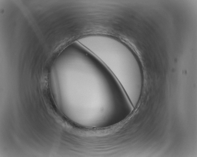 X0000083040017200702020954