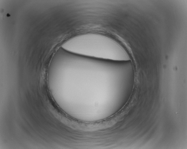 X0000083040018200702020954