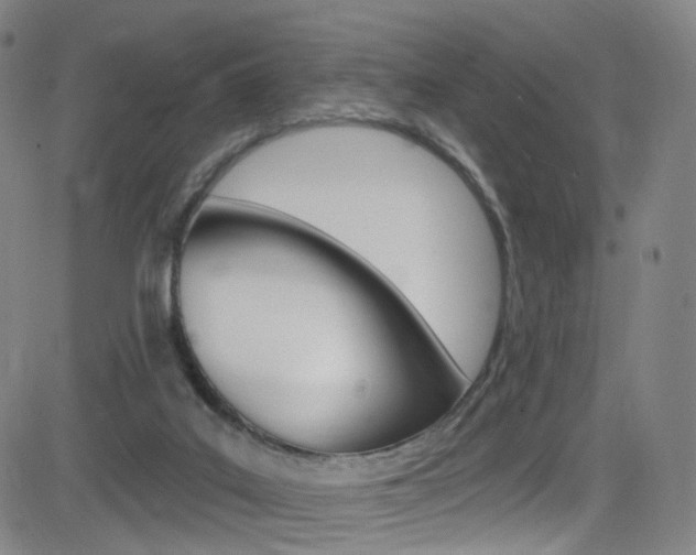 X0000083040019200702020954