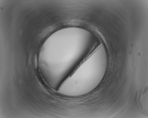 X0000083040020200702020954