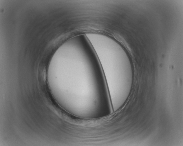 X0000083040021200702020954