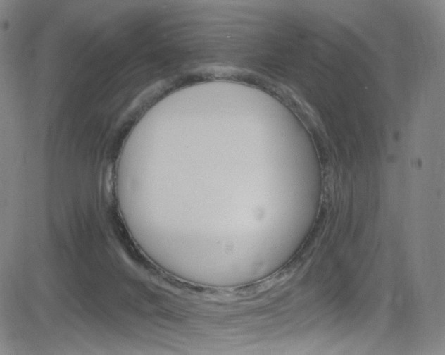 X0000083040024200702020954