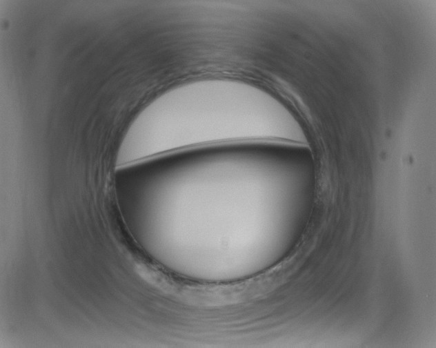 X0000083040025200702020954