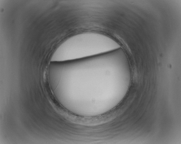 X0000083040026200702020954