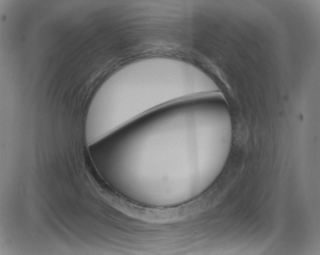 X0000083040027200702020954