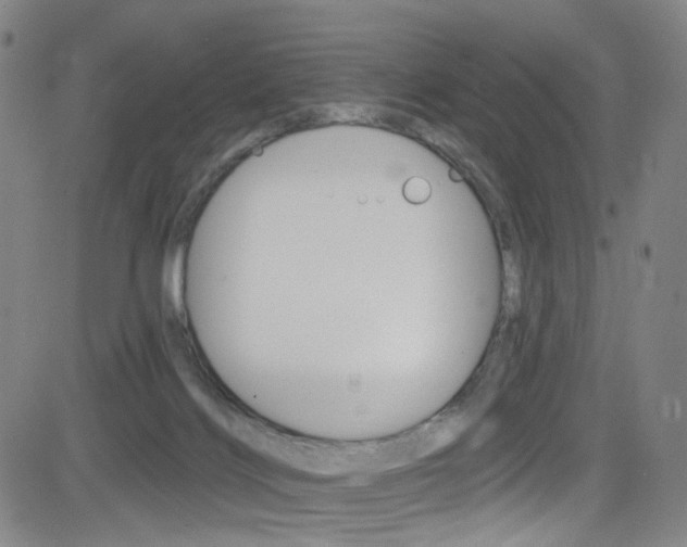 X0000083040028200702020954