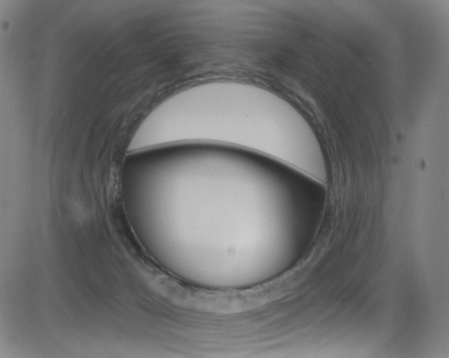 X0000083040029200702020954