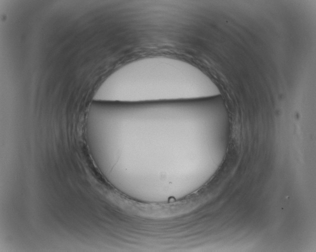 X0000083040030200702020954