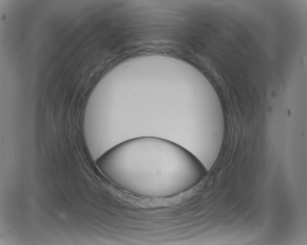 X0000083040031200702020954