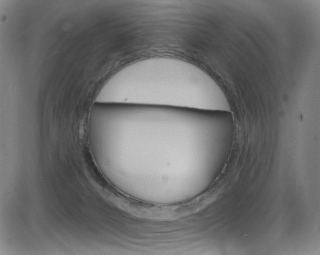 X0000083040032200702020954