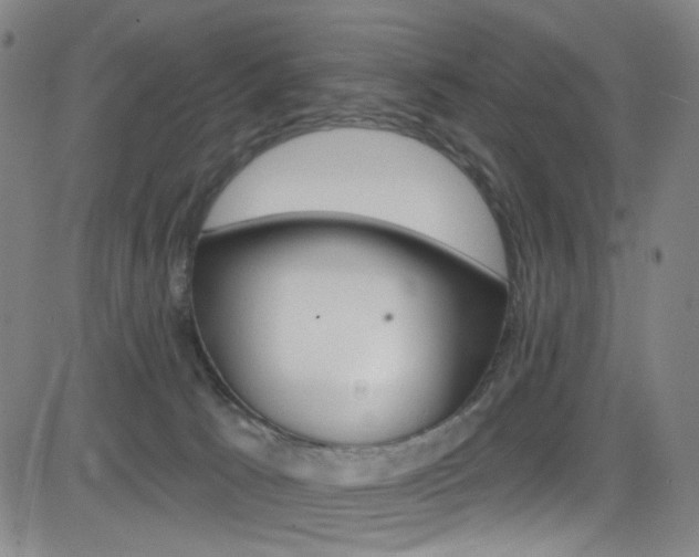 X0000083040033200702020954