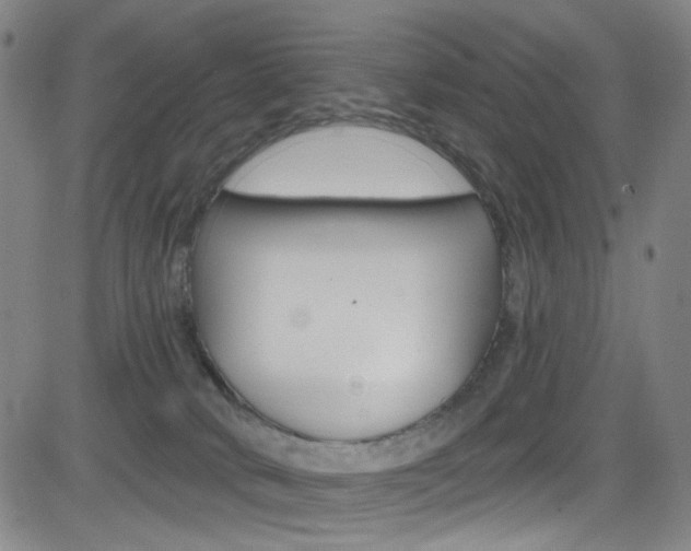 X0000083040034200702020954