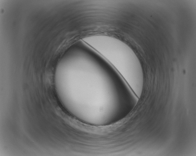 X0000083040035200702020954