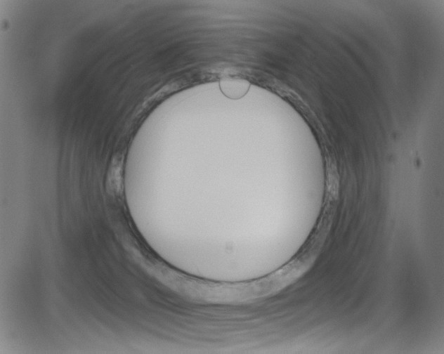 X0000083040036200702020954