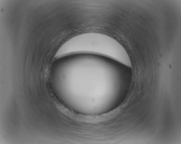 X0000083040037200702020954