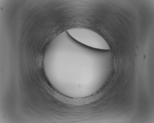 X0000083040038200702020954