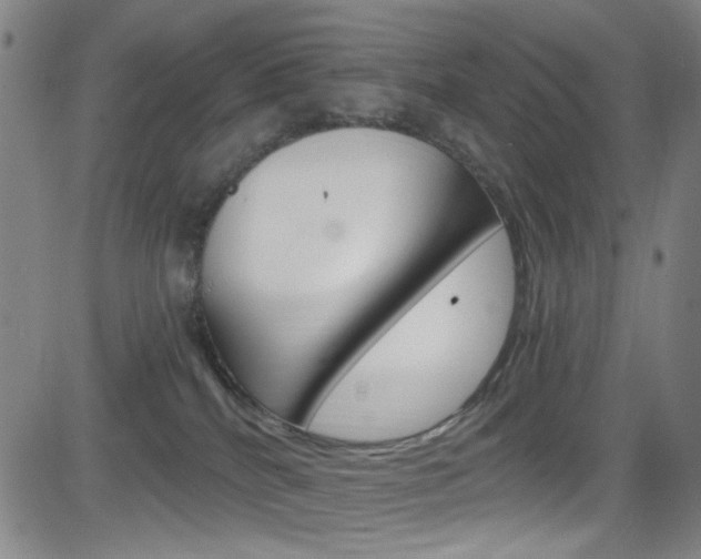 X0000083040040200702020954