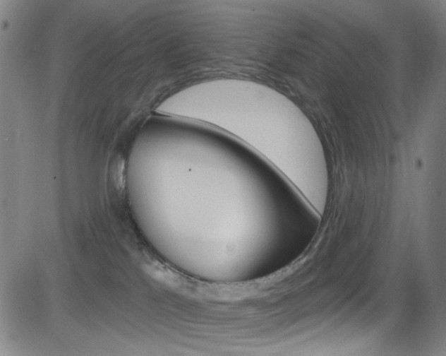 X0000083040041200702020954