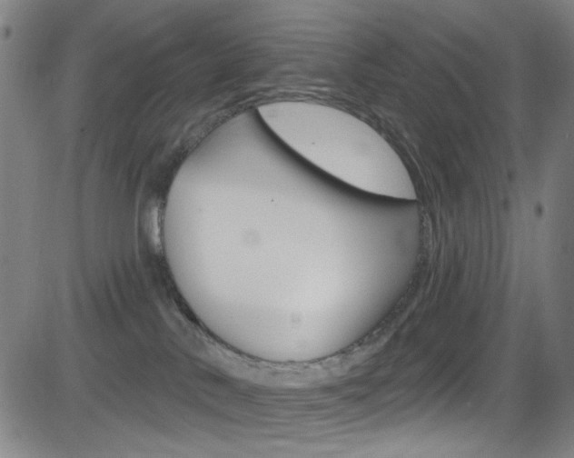 X0000083040042200702020954