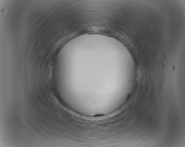 X0000083040043200702020954