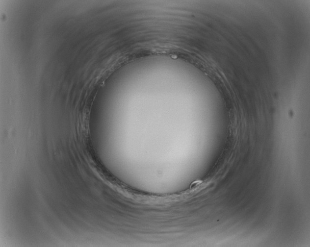 X0000083040044200702020954