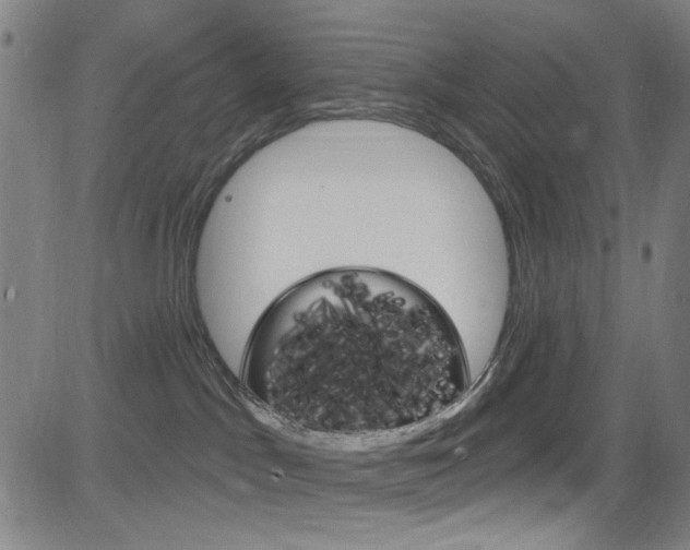 X0000083040045200702020954