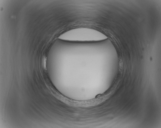 X0000083040046200702020954