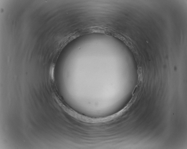 X0000083040047200702020954