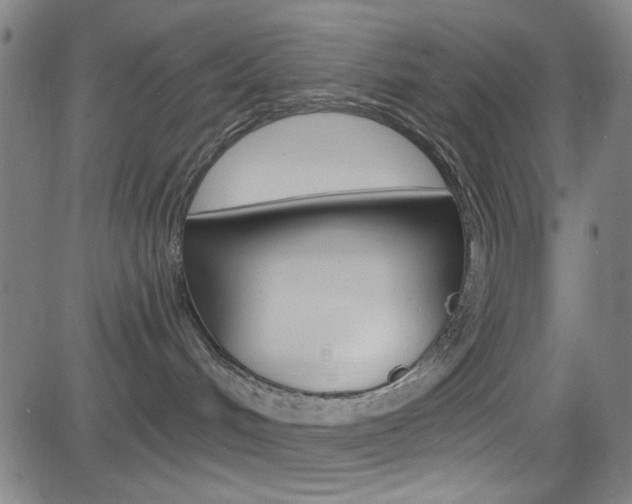 X0000083040048200702020954