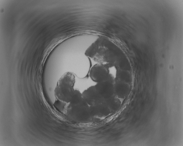 X0000083040049200702020953