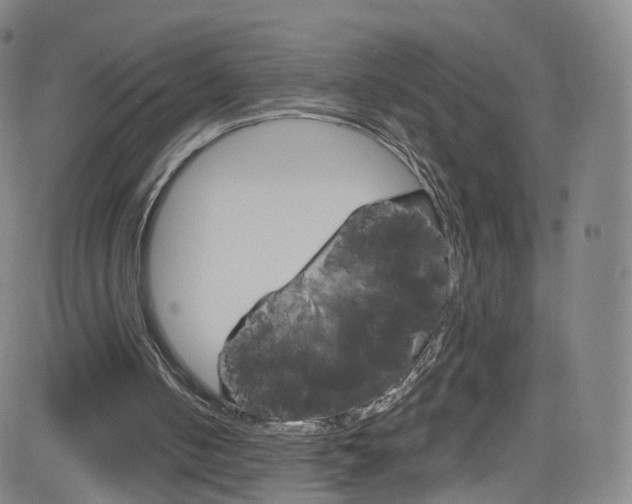 X0000083040050200702020953