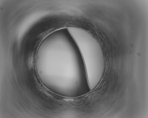 X0000083040052200702020953